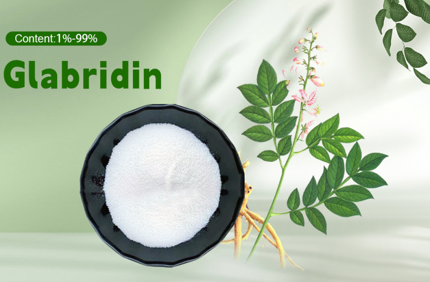 Why Is Glabridin Regarded as a Premier Choice Among Active Ingredients Skincare Professionals Trust?