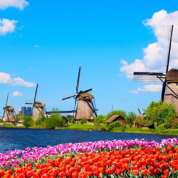 How Does a Countryside and Windmills Tour Amsterdam Showcase the Netherlands Beyond the City?